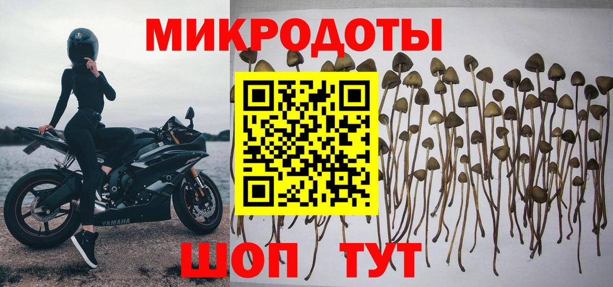 Псилоцибиновые грибы Magic Shrooms  Вход с VPN  Калач-на-Дону 