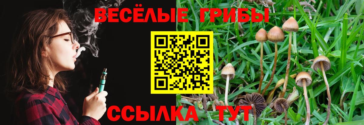 Галлюциногенные грибы Psilocybe Калач-на-Дону